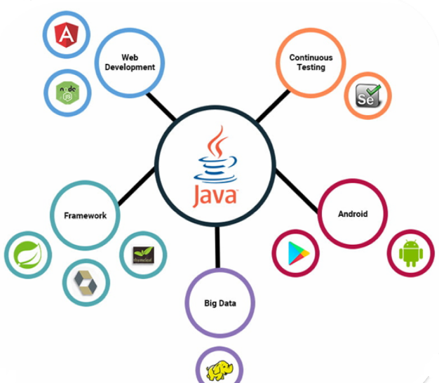 VIDWATH PRO LEARN – Acknowledger